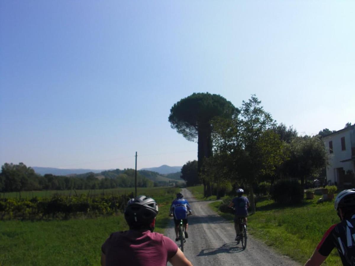 Podere Ripi Volterra Dış mekan fotoğraf